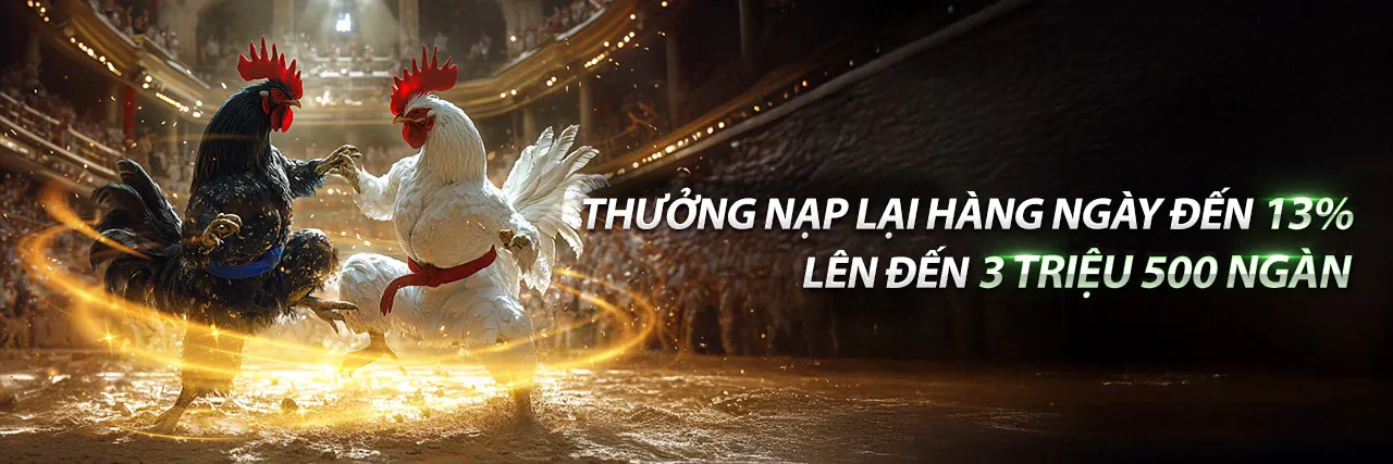 Nền tảng Q79 hàng đầu Việt Nam 2026