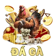 Trải nghiệm ứng dụng Q79 mượt mà